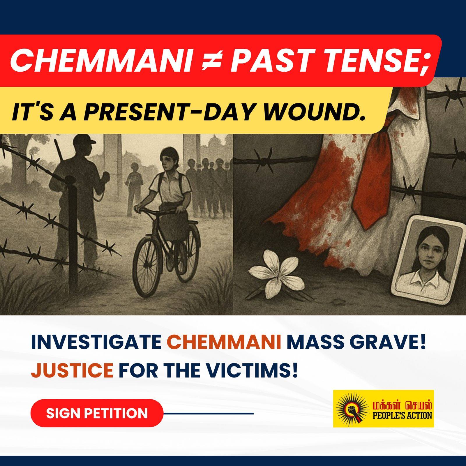 Chemmani grave findings 