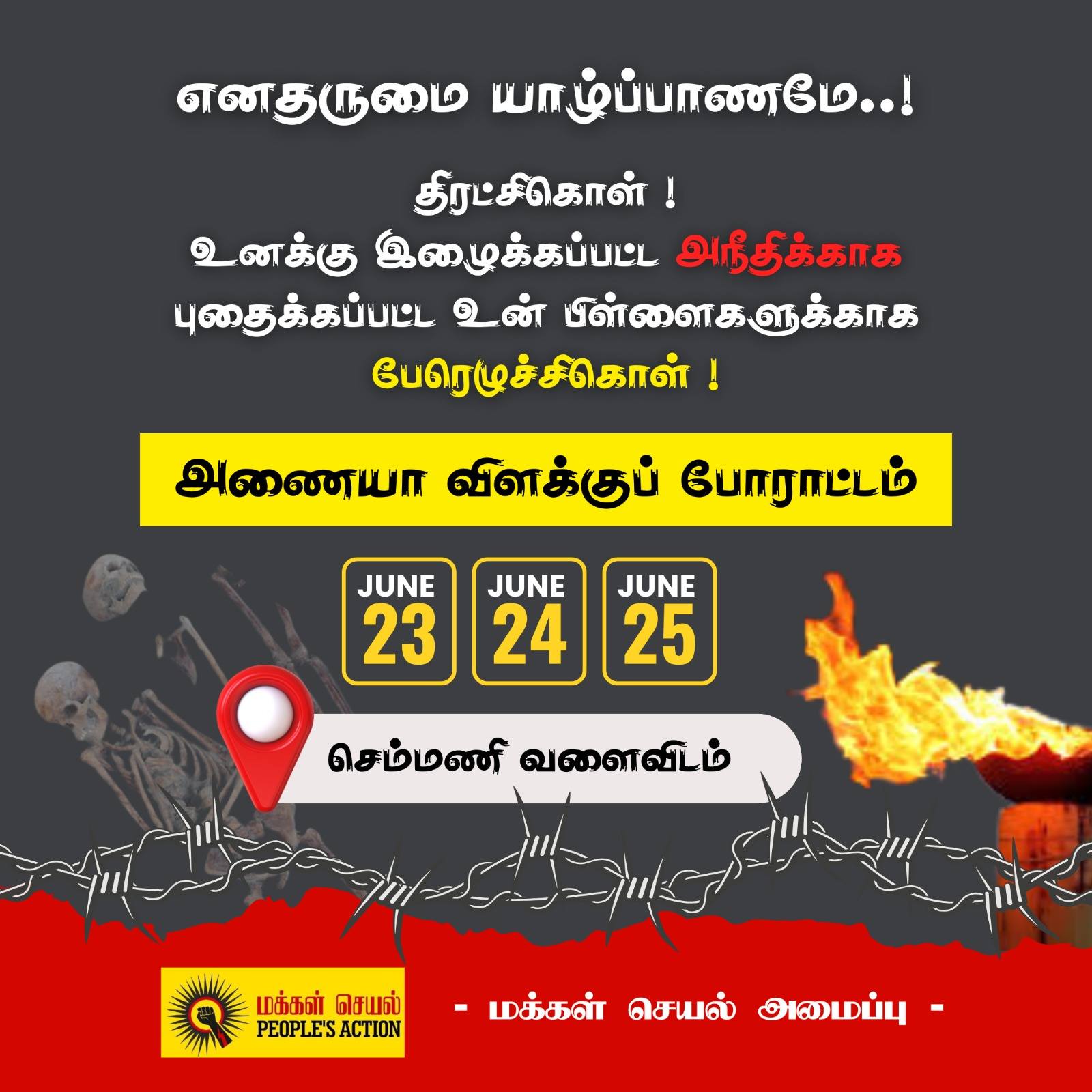 Chemmani grave findings 