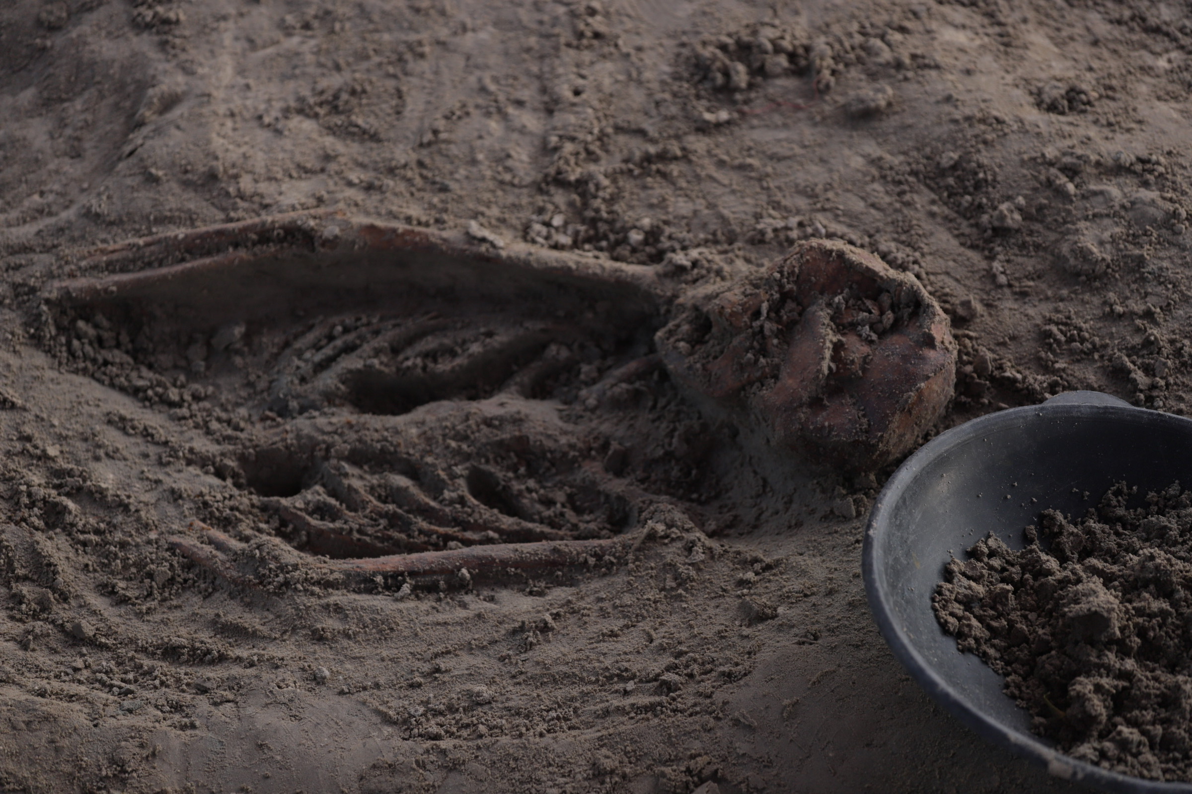 Chemmani grave findings 