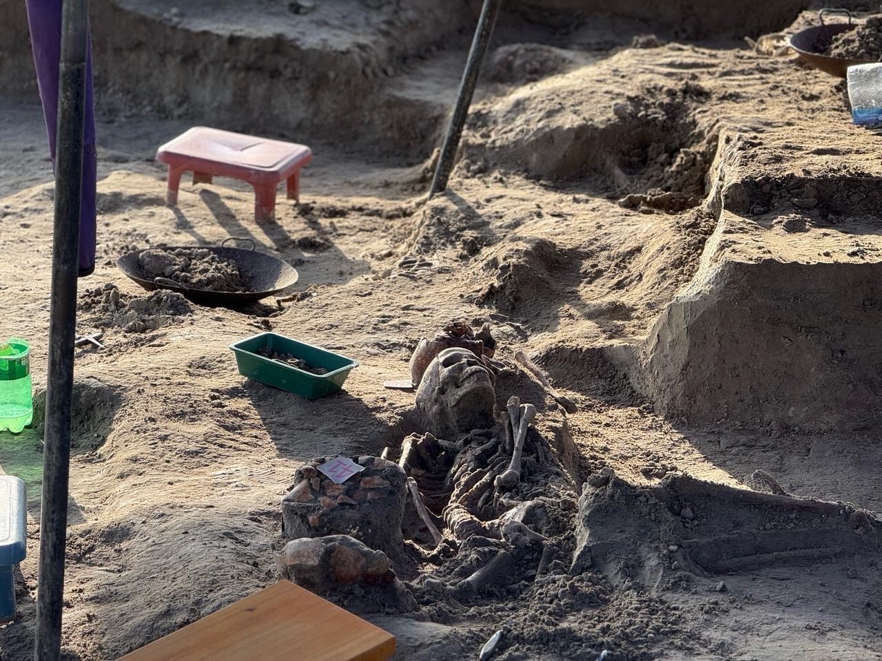 Chemmani grave findings 