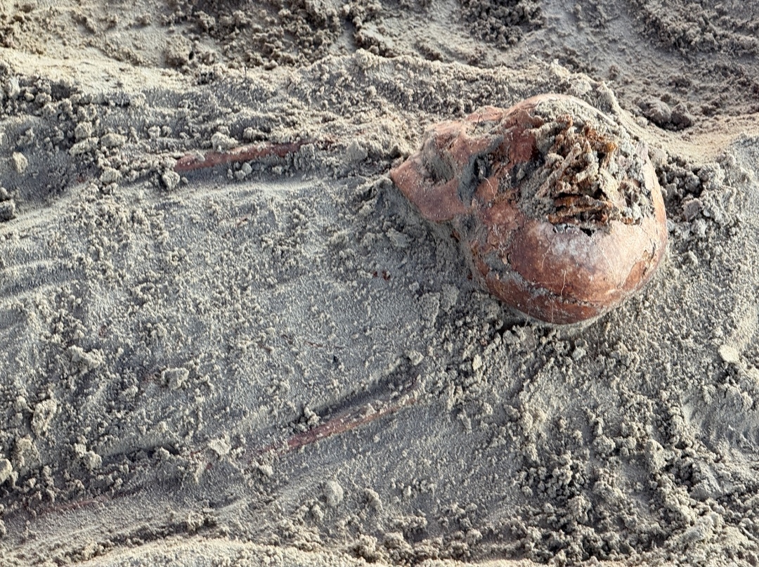 Chemmani grave findings 