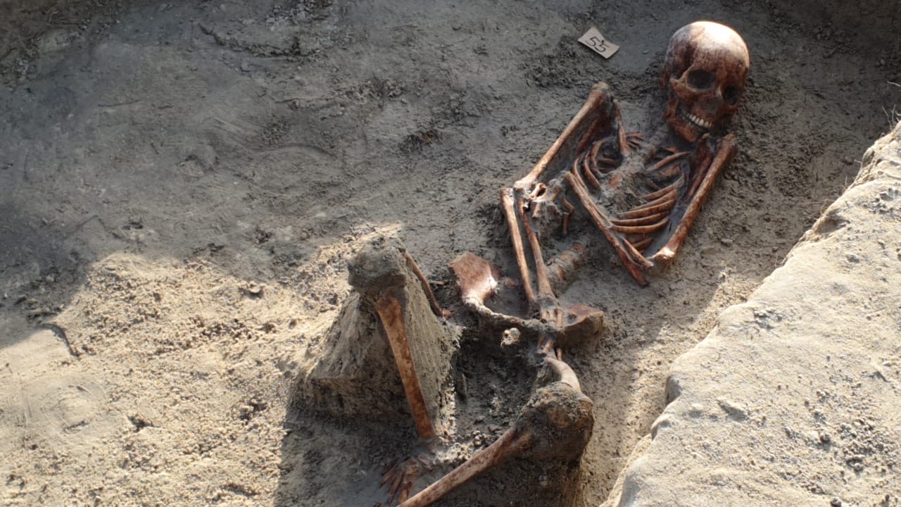 Chemmani grave findings 