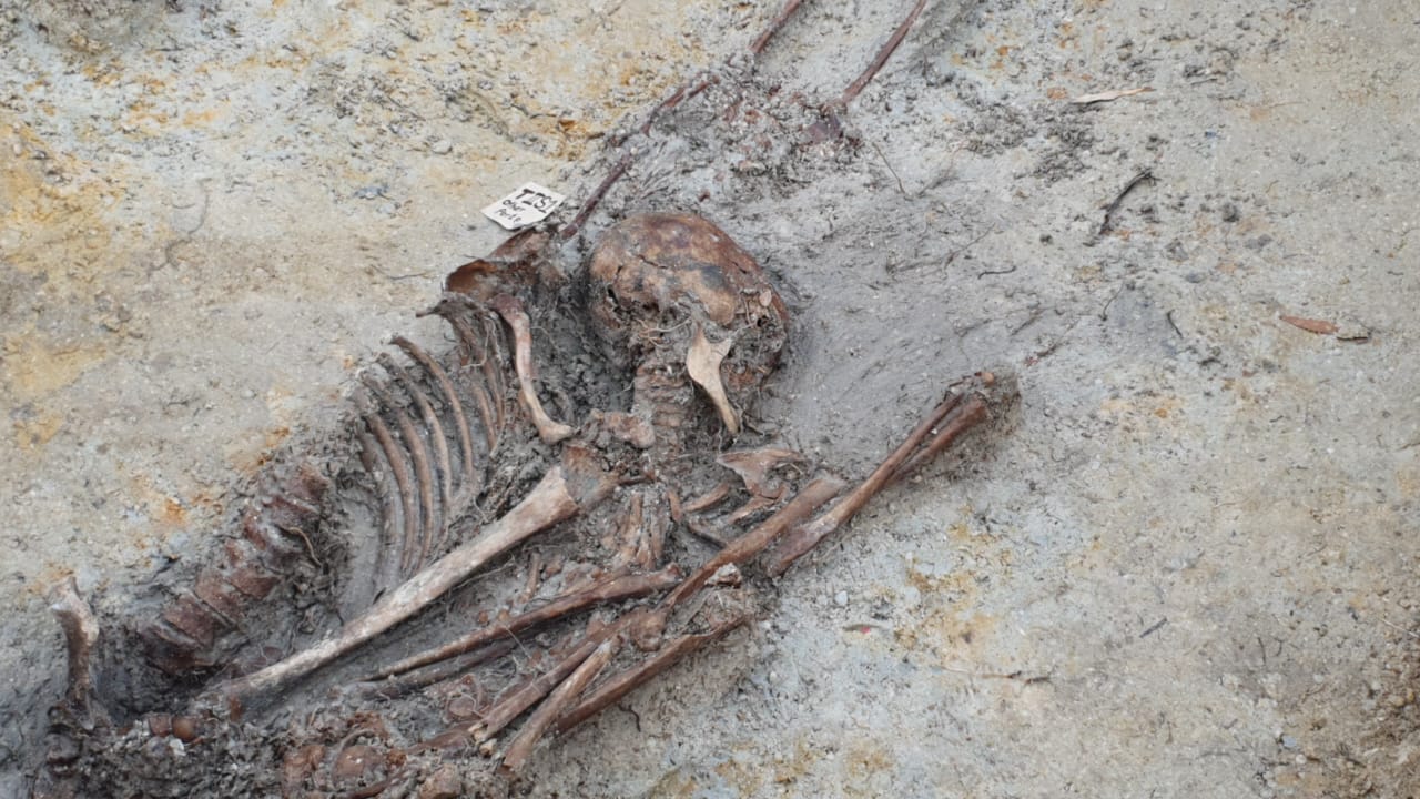 Chemmani grave findings 