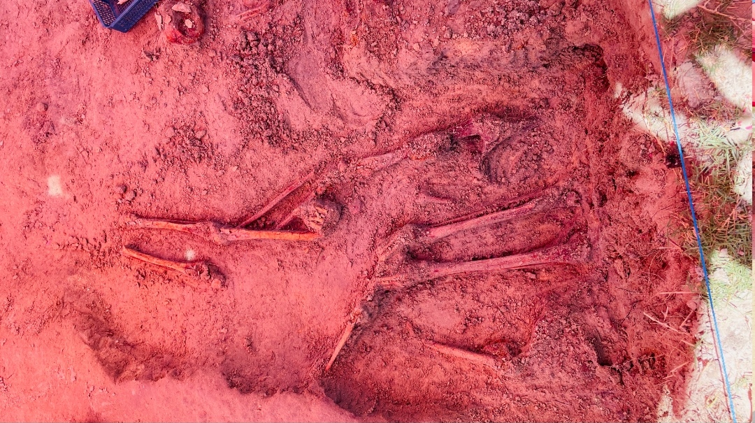 Chemmani grave findings 