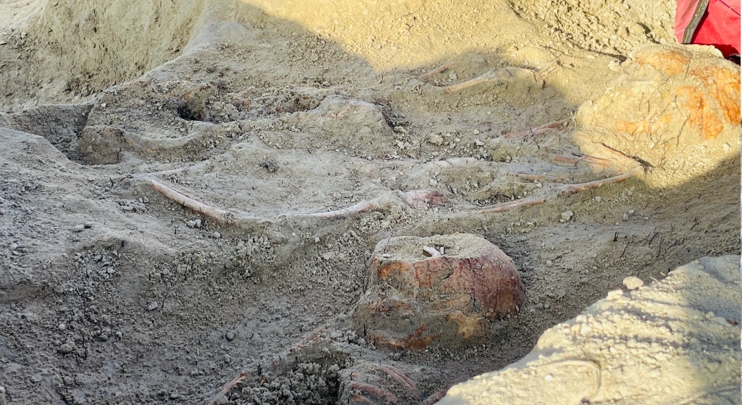 Chemmani grave findings 