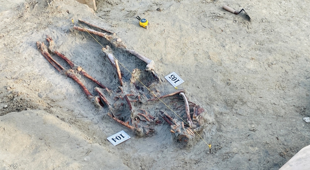 Chemmani grave findings