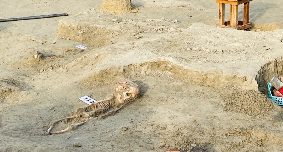 Chemmani grave findings