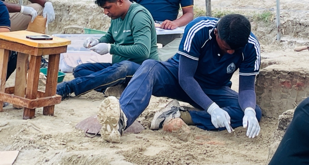 Chemmani grave findings 