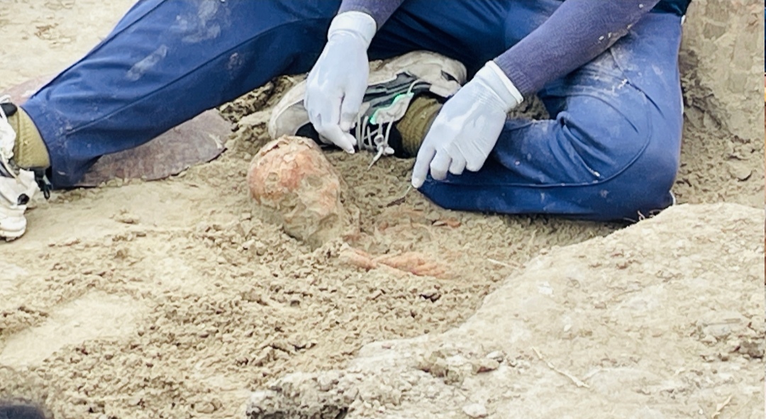 Chemmani grave findings 