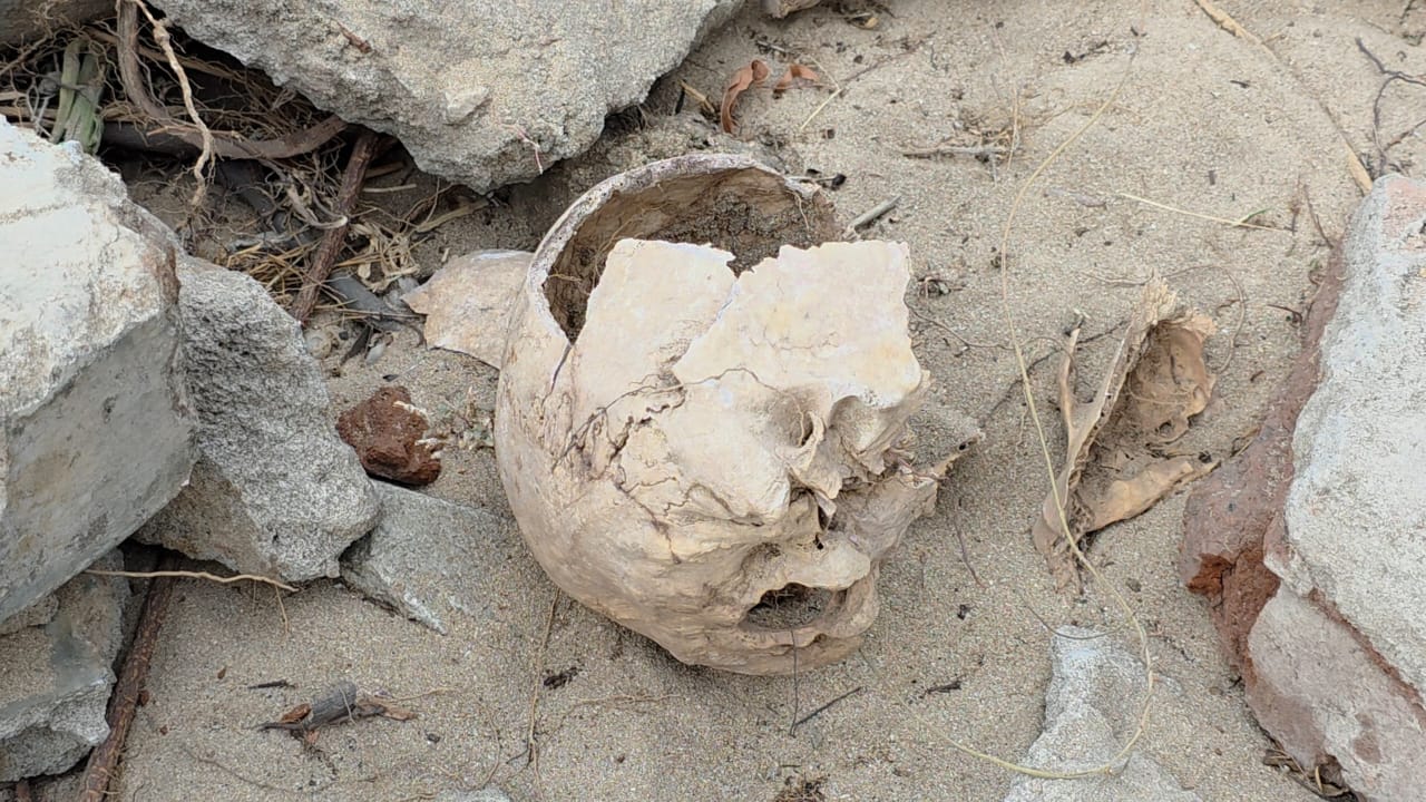 Sampoor skull discovered