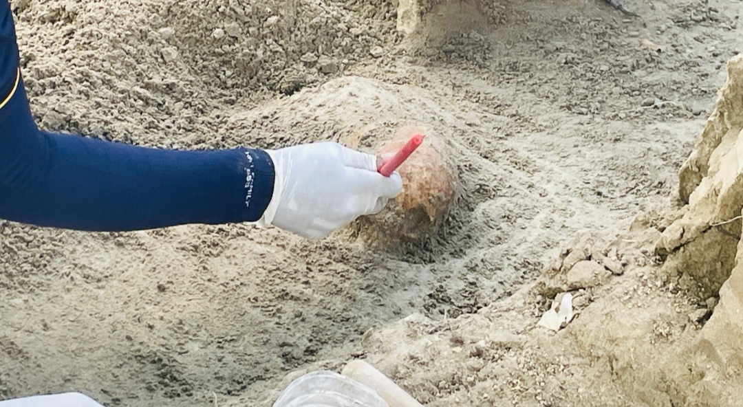 Chemmani grave findings 