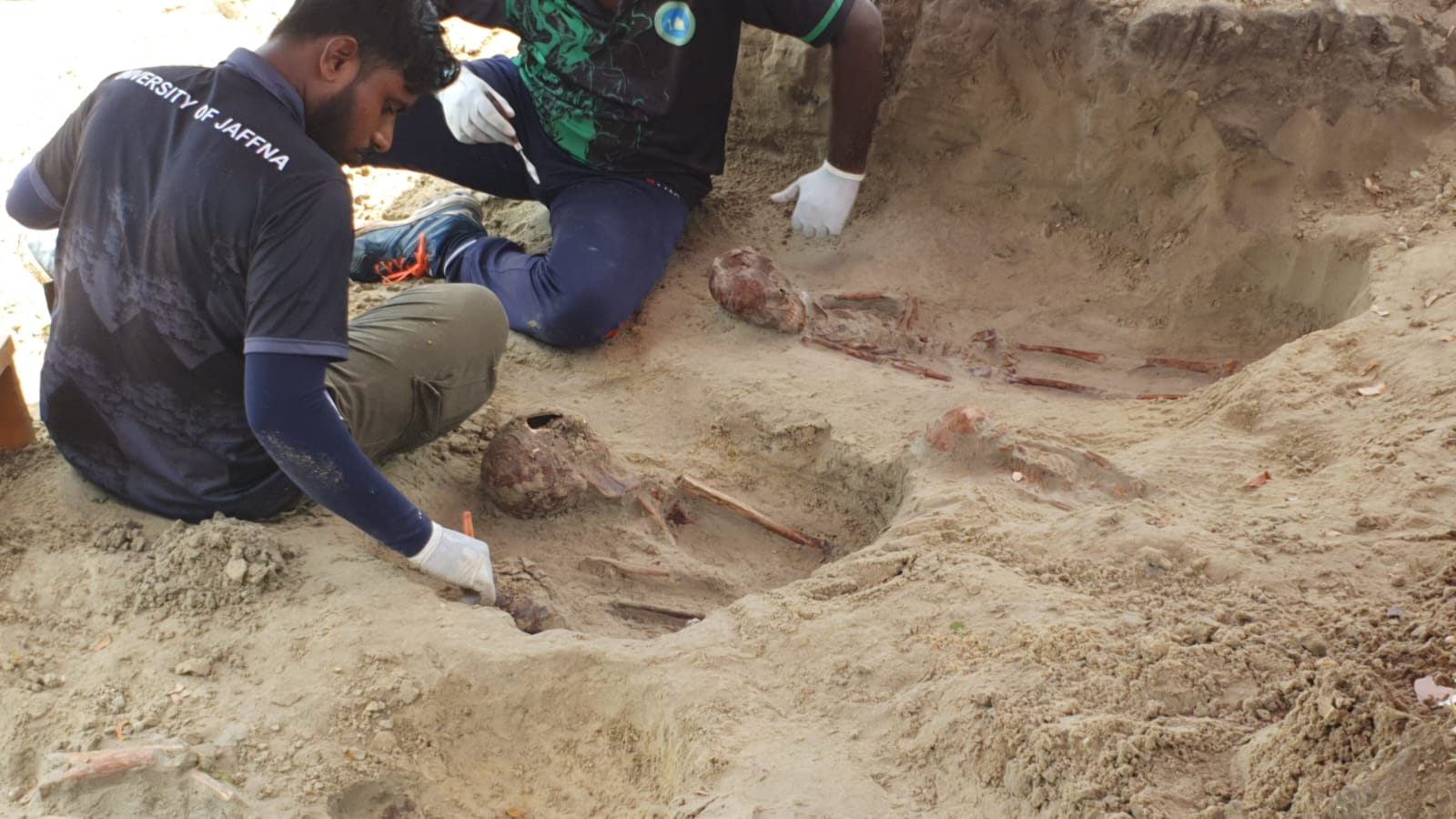 Chemmani grave findings 