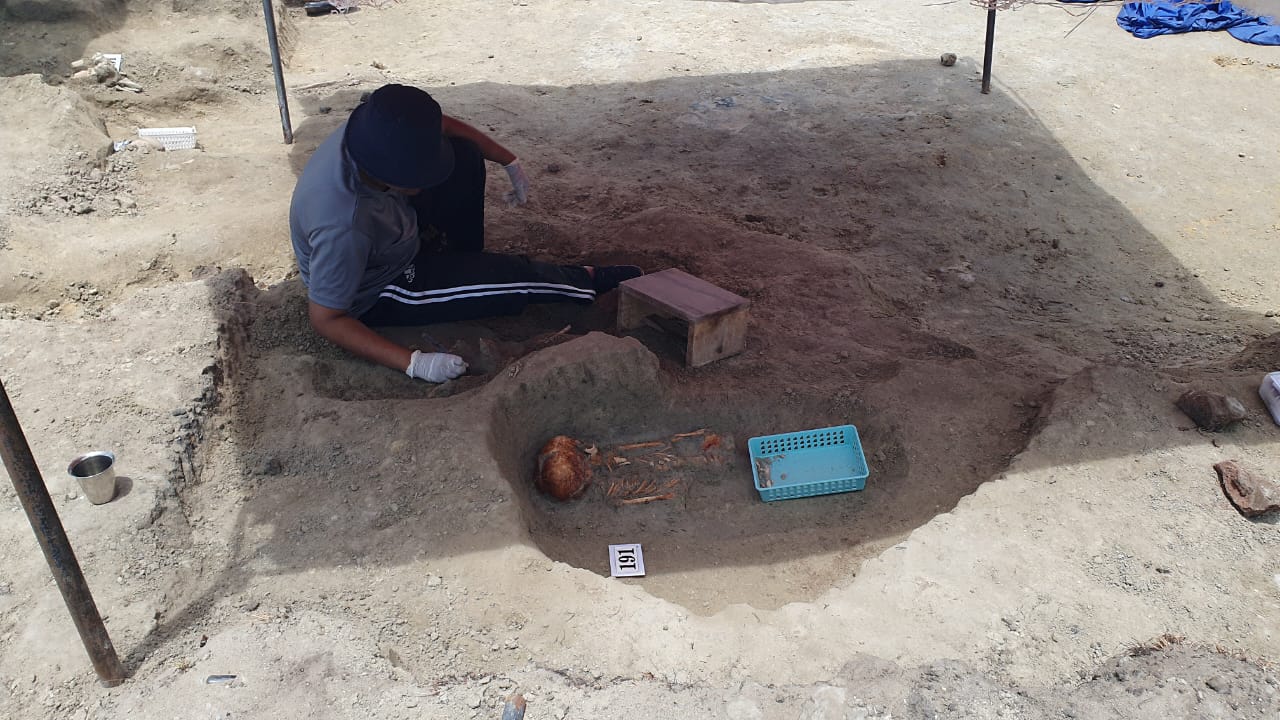 Chemmani grave findings 