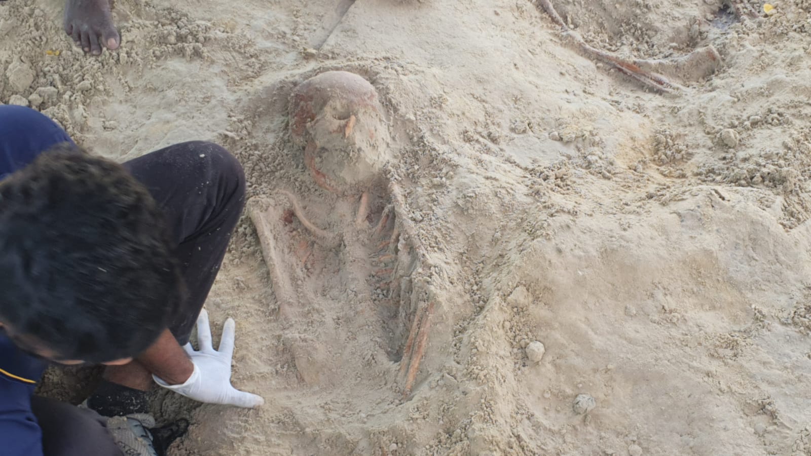 Chemmani grave findings 