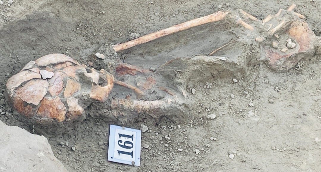 Chemmani grave findings 