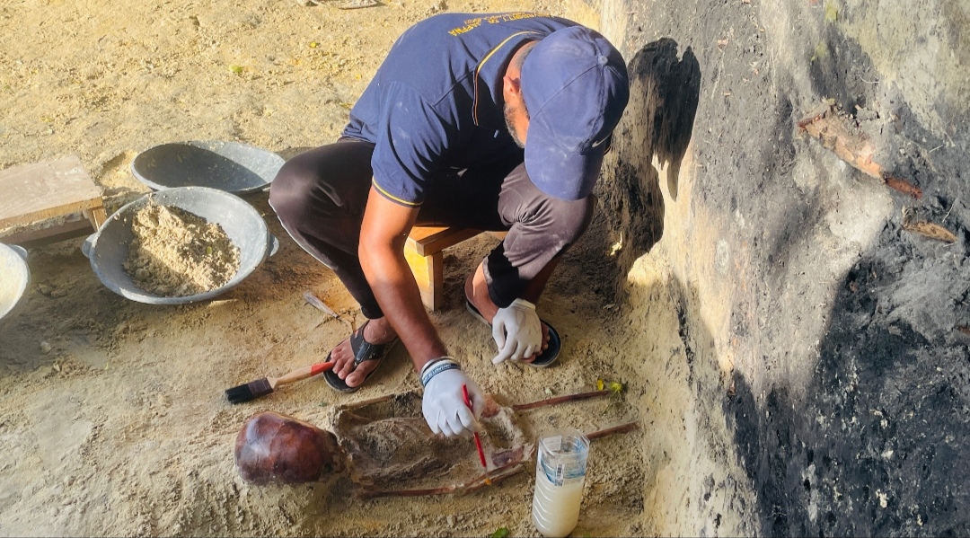 Chemmani grave findings 