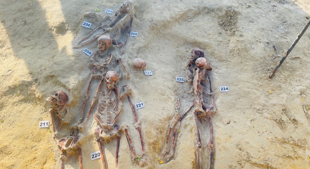Chemmani grave findings 