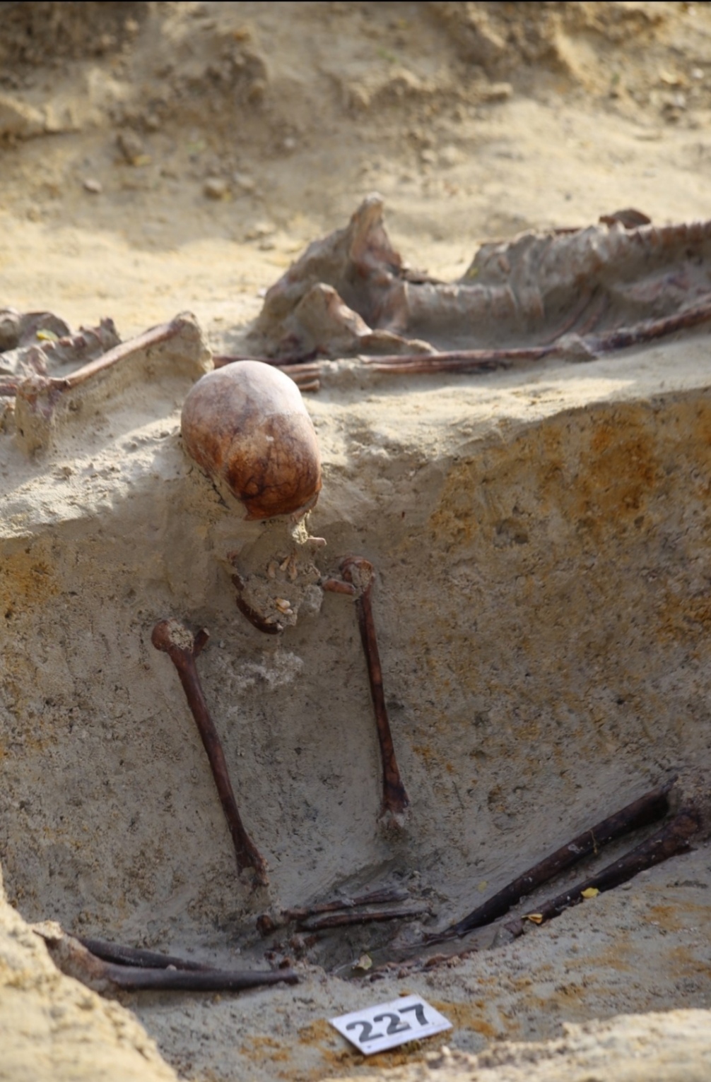 Chemmani grave findings 