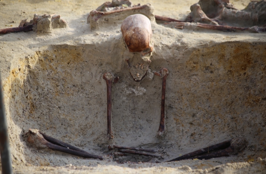 Chemmani grave findings 
