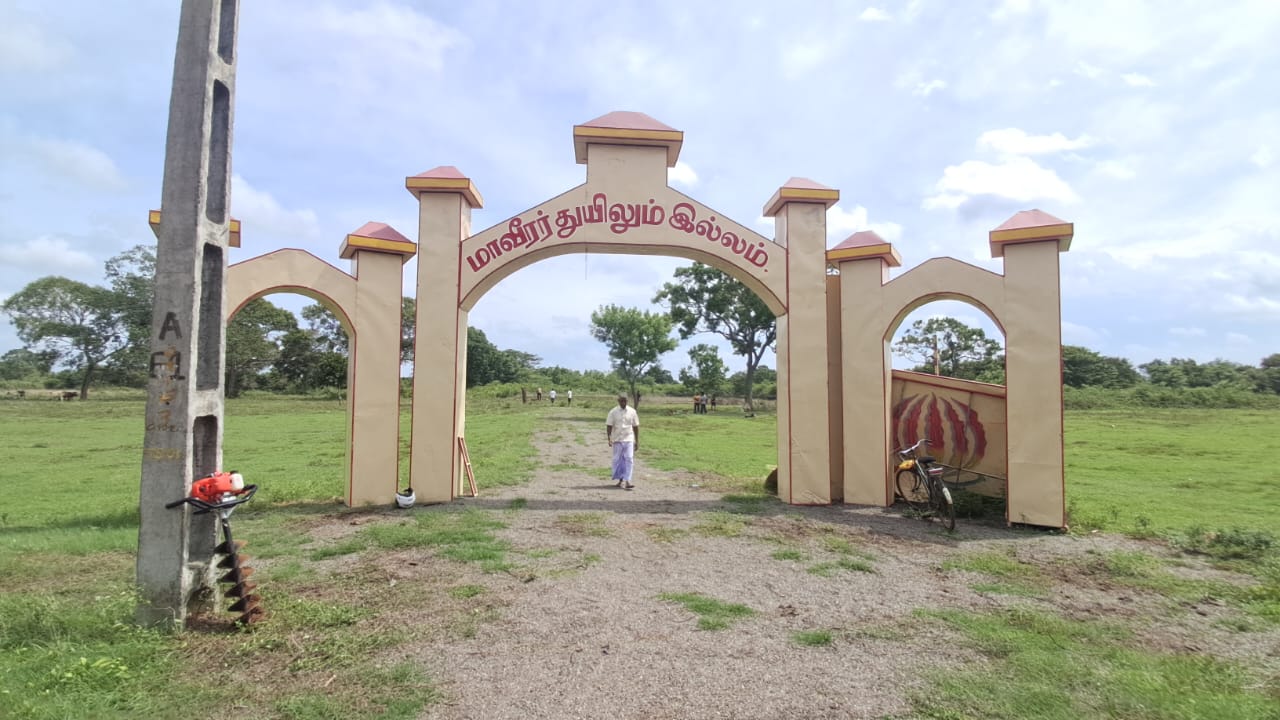Maveerar day preparation 