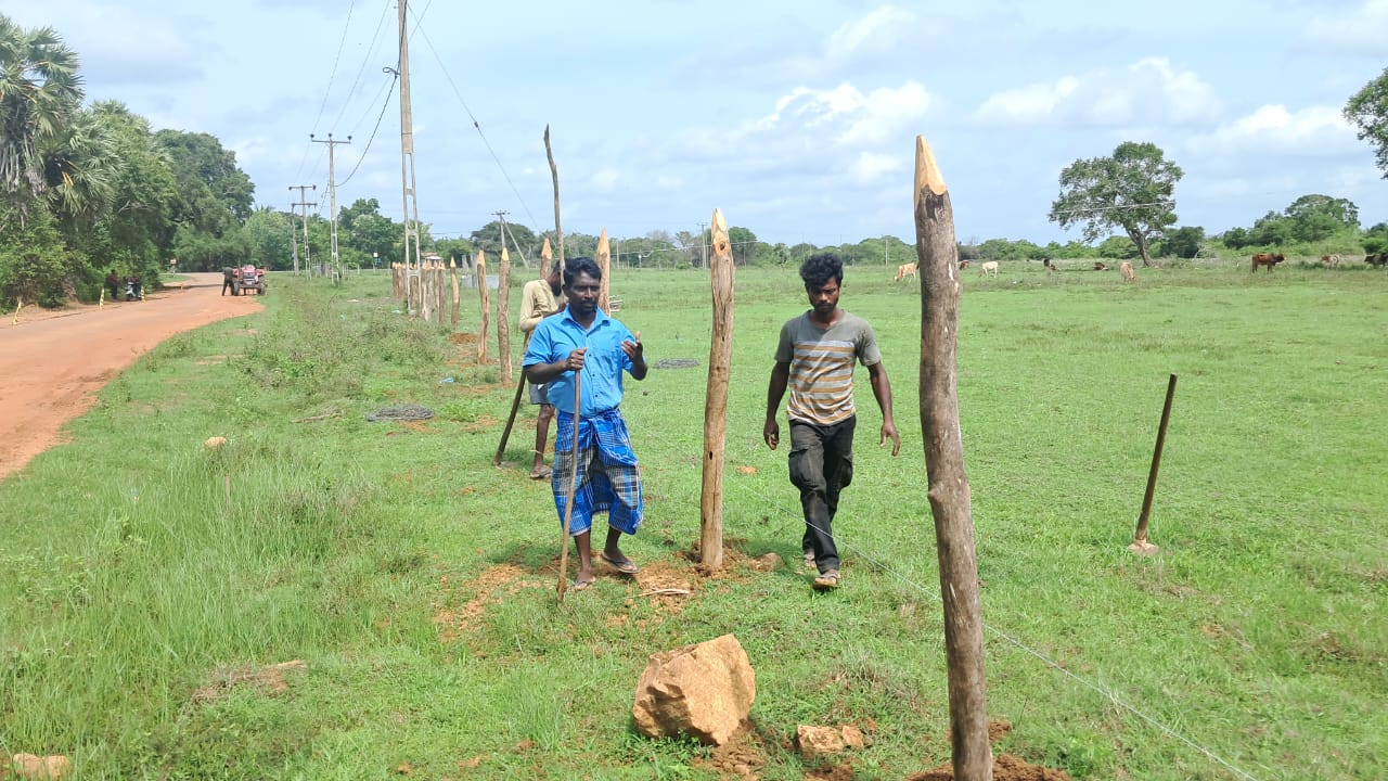 Maveerar day preparation 