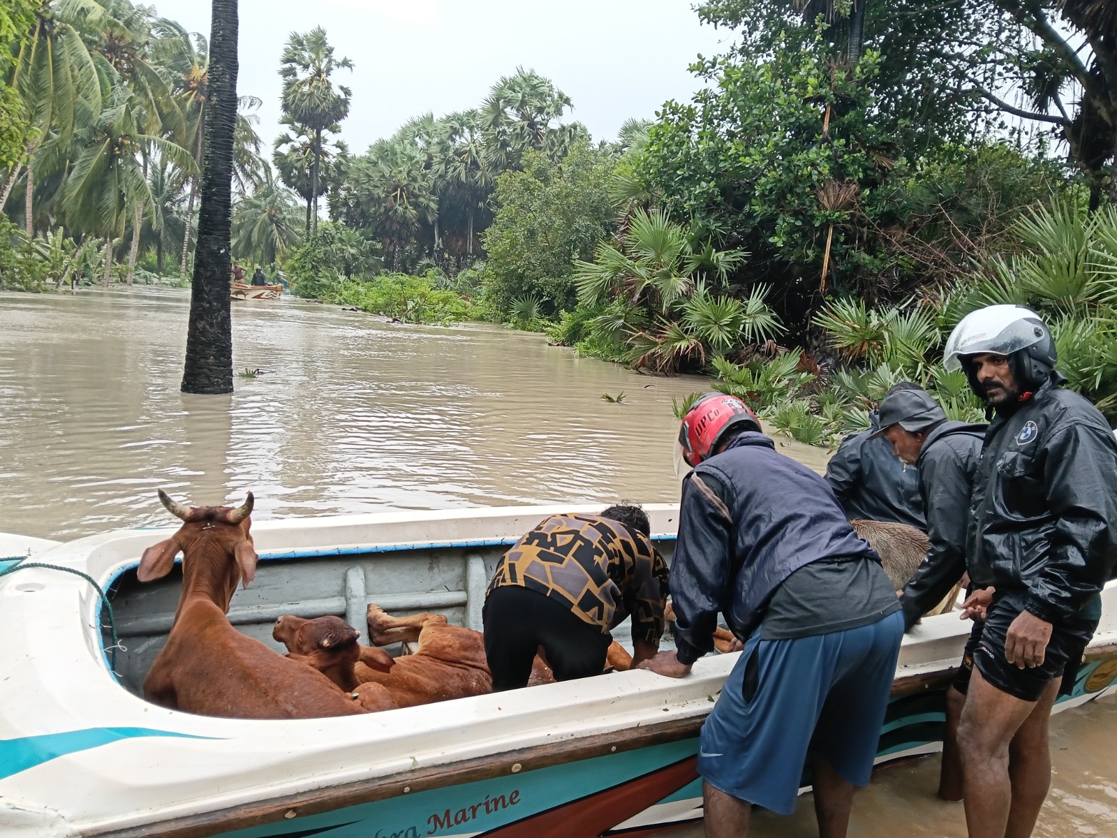 Mannar flood 