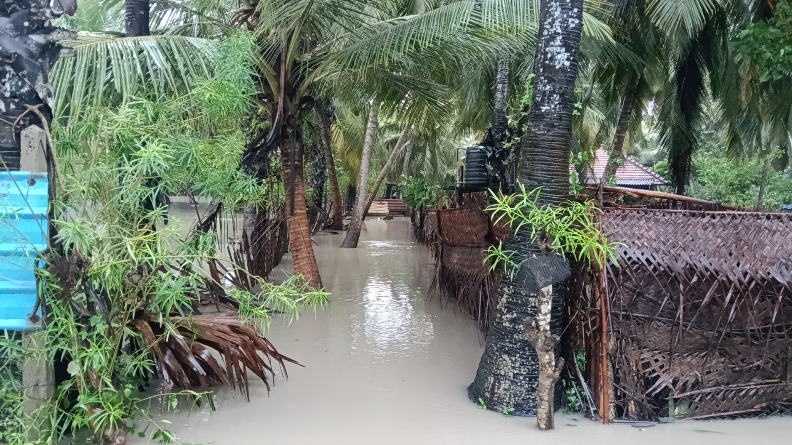 Mannar flood 