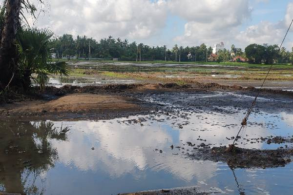 Crop cultivation 
