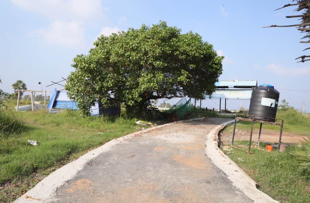 Chemmani grave findings 