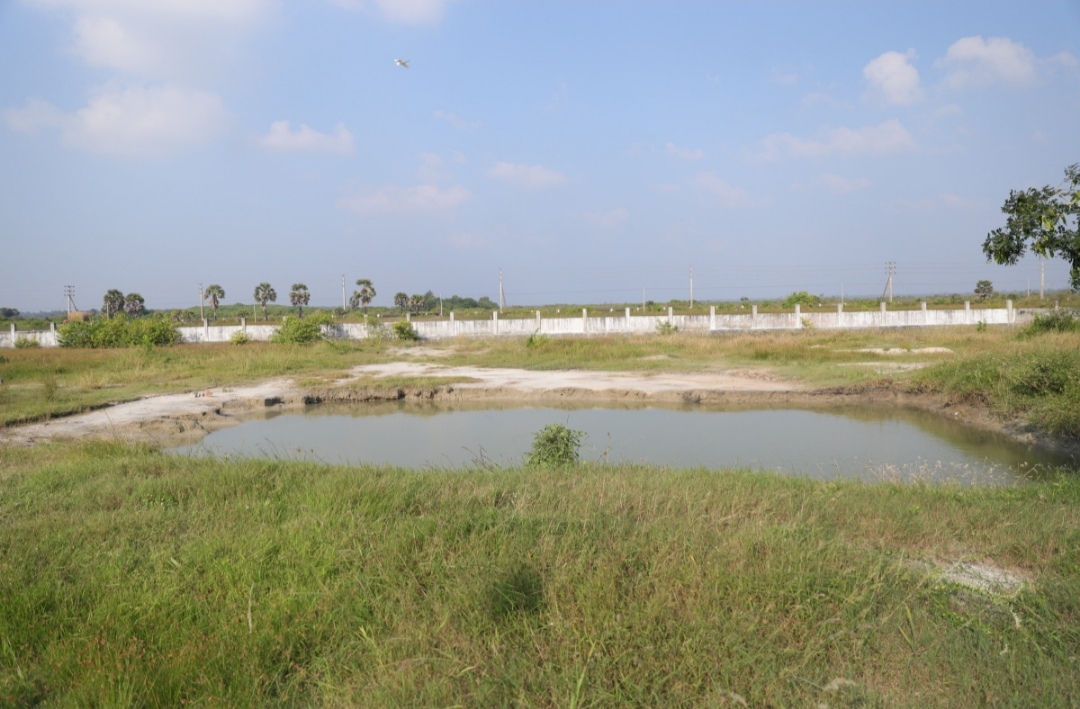 Chemmani grave findings 