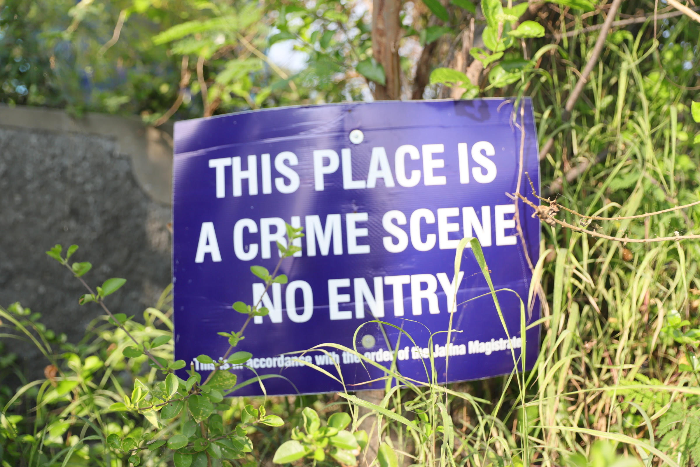 Chemmani grave findings 