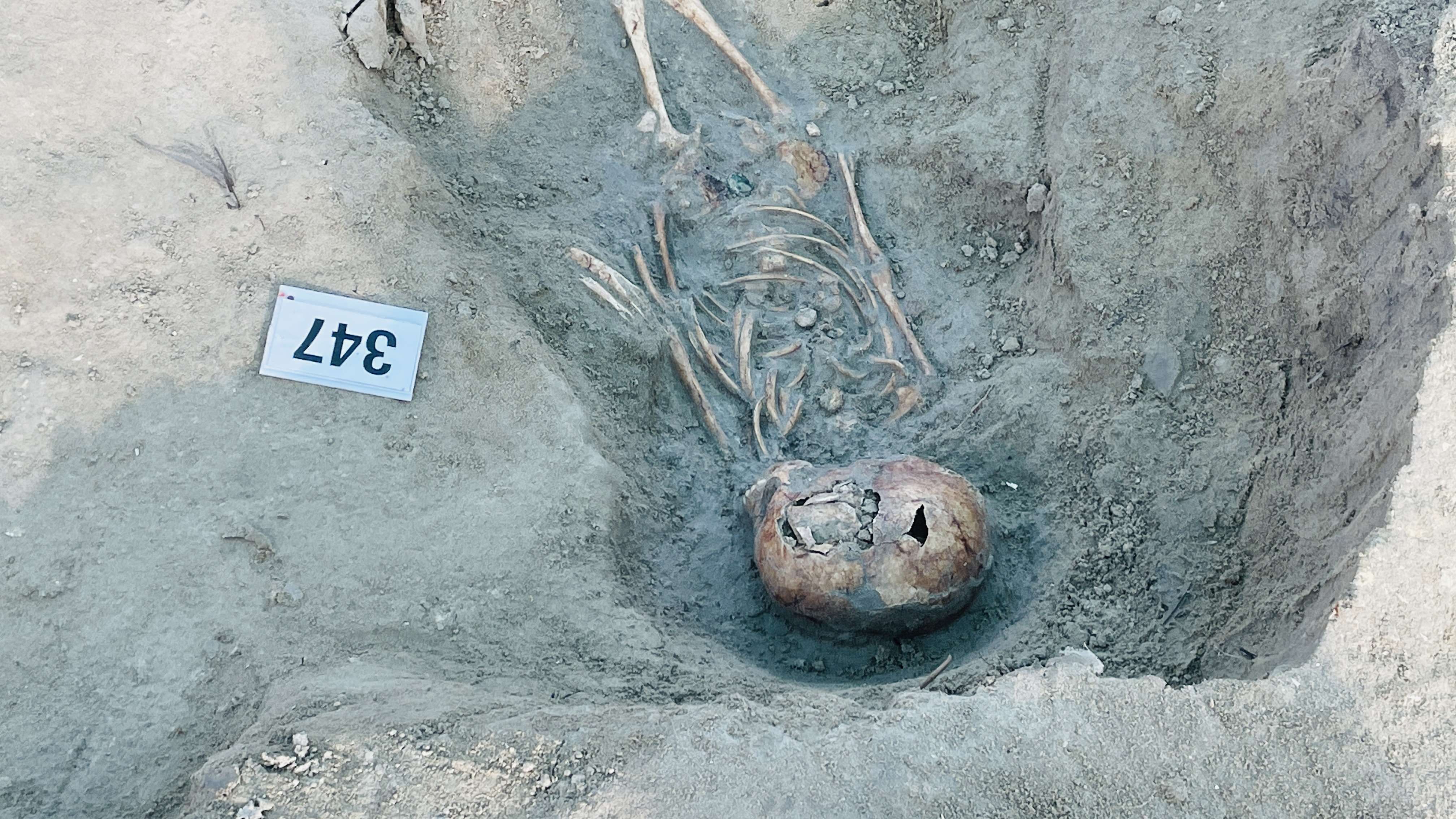 Chemmani excavation