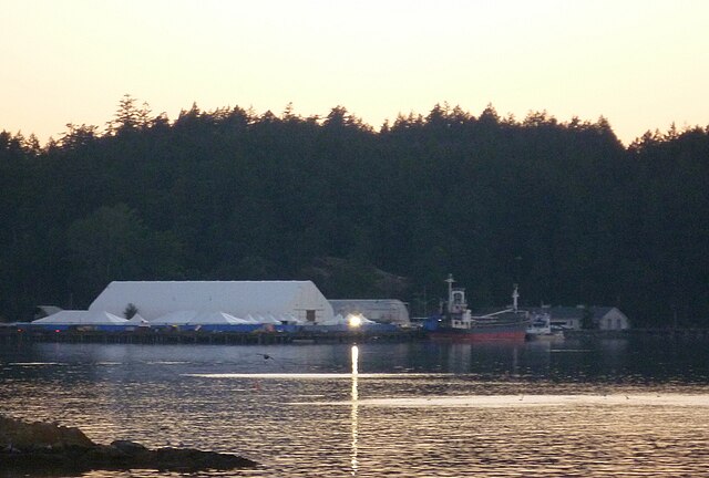 The MV Sun Sea, a ship carrying Tamil refugees, seen from the shore of the Esquimalt First Nation Reserve